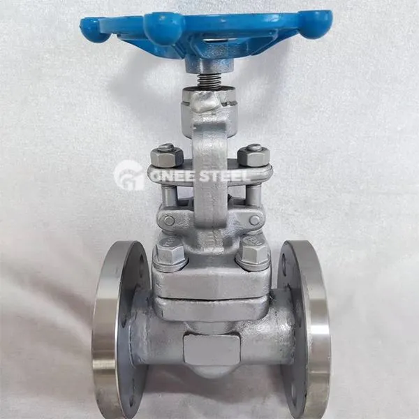 API 602 ventili globusa