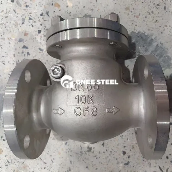 Carbon Steel ANSI 300 SWIW CHECK VENTIL