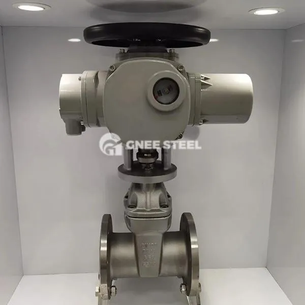 Električni aktivirani vrati ventili