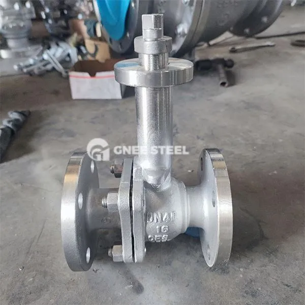 Podaljšani ventil za steblo