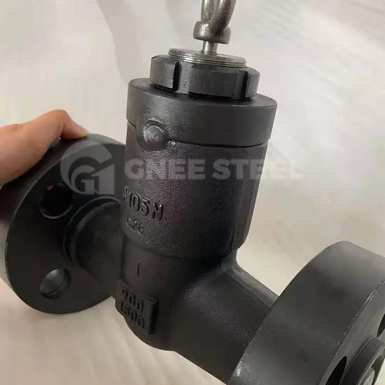 Končni batni povratni ventil iz kovanega jekla s prirobnico