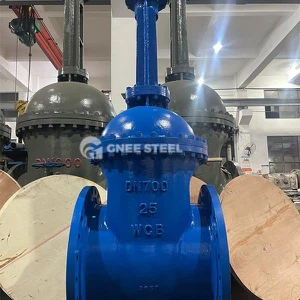 gear operated gate valve gear operated gate valve