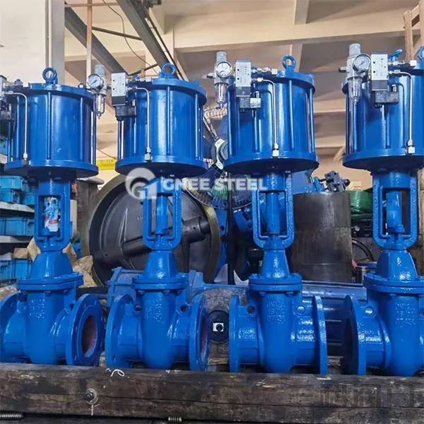 Pnevmatični klinasti vrati ventilov