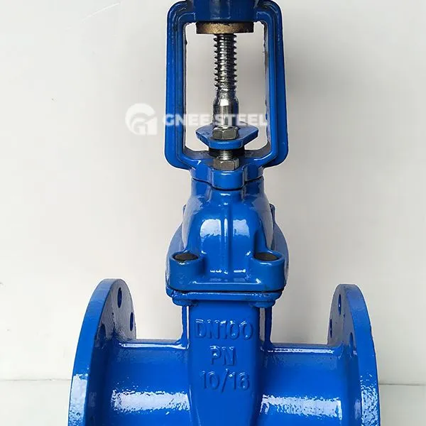 Prožni ventili sedeža