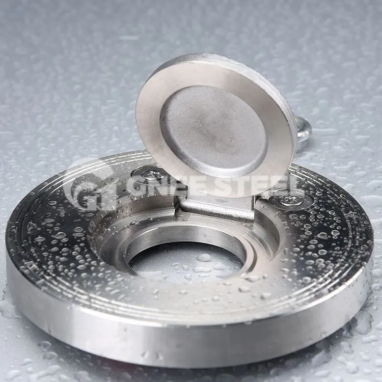 Kontrolni ventil z enim diskom