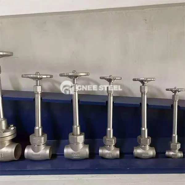 Kriogeni ventili iz nerjavečega jekla